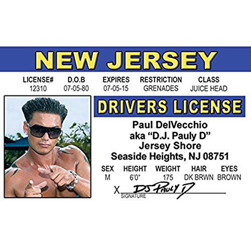 Signs 4 Fun Parody ID | DJ Pauly D Driver’s License | Fake ID Novelty Card | Collectible Trading Card Driver’s License | Novelty Gift for Holidays | Made in The USA