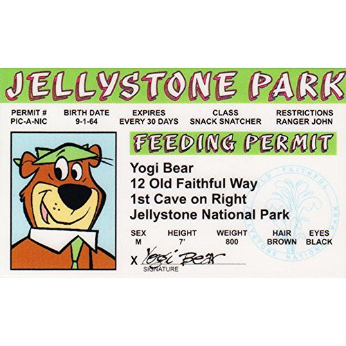 Signs 4 Fun Parody Driver’s License | Jellystone ID | Fake ID Novelty Card | Collectible Trading Card Driver’s License | Novelty Gift for Holidays | Made in the USA