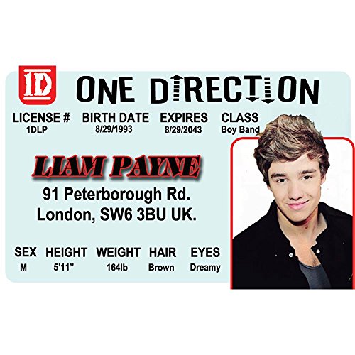 Signs 4 Fun Parody Driver’s License | Liam Payne ID | Fake ID Novelty Card | Collectible Trading Card Driver’s License | Novelty Gift for Holidays | Made in The USA