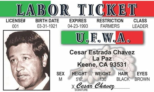 Signs 4 Fun Parody ID | Caeser Chavez Driver’s License | Fake ID Novelty Card | Collectible Trading Card Driver’s License | Novelty Gift for Holidays | Made in The USA