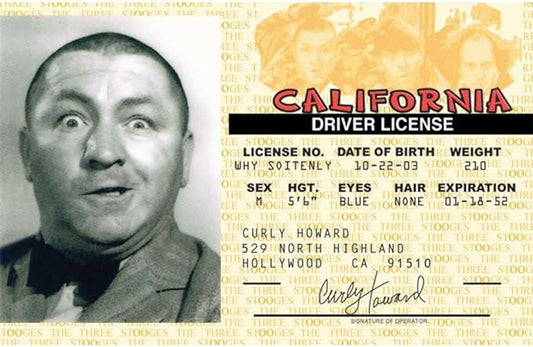 Signs 4 Fun Parody ID | Stooges - Curly Driver’s License | Fake ID Novelty Card | Collectible Trading Card Driver’s License | Novelty Gift for Holidays | Made in The USA