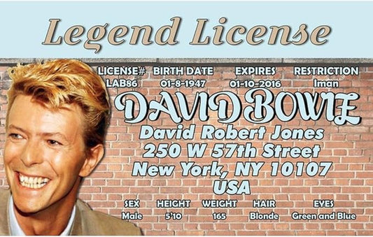 Signs 4 Fun Parody Driver’s License | David Bowie ID | Fake ID Novelty Card | Collectible Trading Card Driver’s License | Novelty Gift for Holidays | Made in The USA