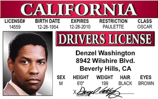 Signs 4 Fun Parody ID | Denzel Driver’s License | Fake ID Novelty Card | Collectible Trading Card Driver’s License | Novelty Gift for Holidays | Made in The USA