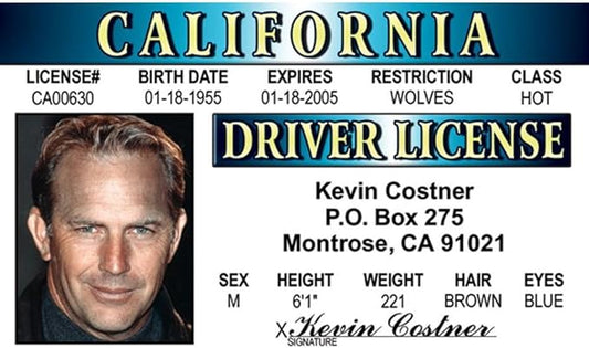 Signs 4 Fun Parody Driver’s License | Kevin Costner ID | Fake ID Novelty Card | Collectible Trading Card Driver’s License | Novelty Gift for Holidays | Made in The USA