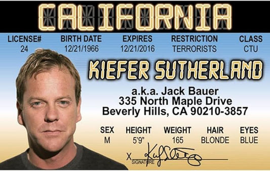 Signs 4 Fun Parody Driver’s License | Kiefer S ID | Fake ID Novelty Card | Collectible Trading Card Driver’s License | Novelty Gift for Holidays | Made in The USA Brand: Signs 4 Fun