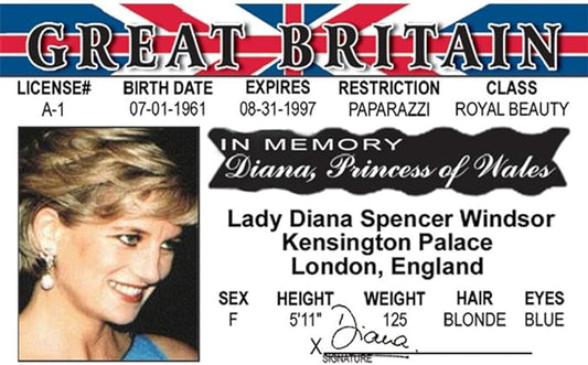 Signs 4 Fun Parody Driver’s License | Lady Di ID | Fake ID Novelty Card | Collectible Trading Card Driver’s License | Novelty Gift for Holidays | Made in The USA