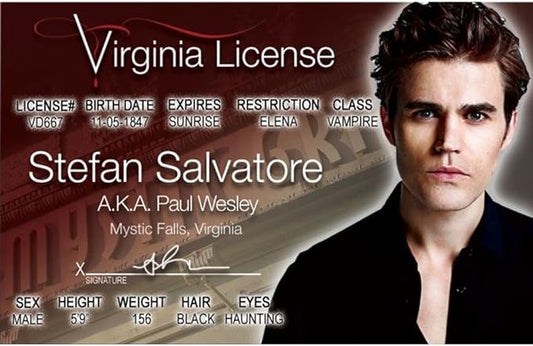 Signs 4 Fun Parody Driver’s License | Vamp Diaries - Stefan ID | Fake ID Novelty Card | Collectible Trading Card Driver’s License | Novelty Gift for Holidays | Made in The USA