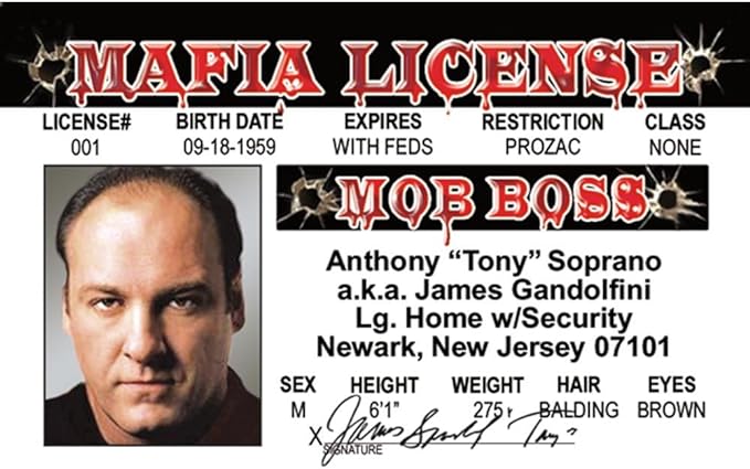 Signs 4 Fun Parody ID | Mob Boss Driver’s License | Fake ID Novelty Card | Collectible Trading Card Driver’s License | Novelty Gift for Holidays | Made in The USA