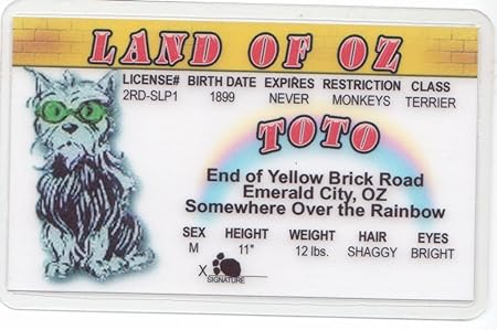 Parody ID | Toto Toon ID | Fake ID Novelty Card | Collectible Trading Card Driver’s License | Novelty Gift for Holidays | Made in The USA