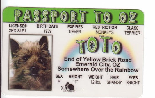 Signs 4 Fun Parody ID | Toto Driver’s License | Fake ID Novelty Card | Collectible Trading Card Driver’s License | Novelty Gift for Holidays | Made in The USA