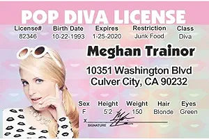 Parody ID | Meghan Trainor Driver’s License | Fake ID Novelty Card | Collectible Trading Card Driver’s License | Novelty Gift for Holidays | Made in The USA