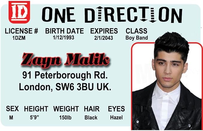 Parody Driver’s License | Zayn Malik ID | Fake ID Novelty Card | Collectible Trading Card Driver’s License | Novelty Gift for Holidays | Made in The USA